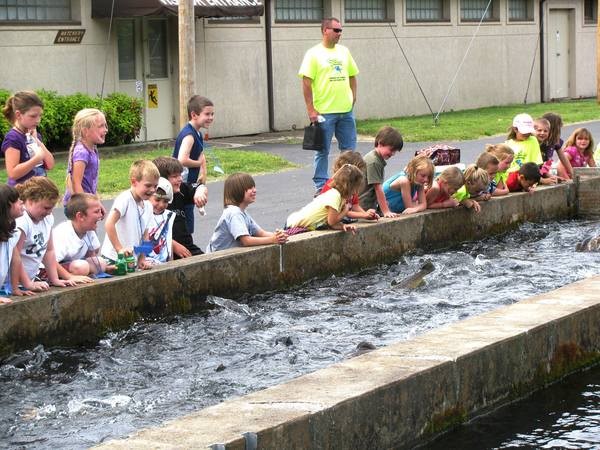 Water, Plant, Leisure, Vehicle