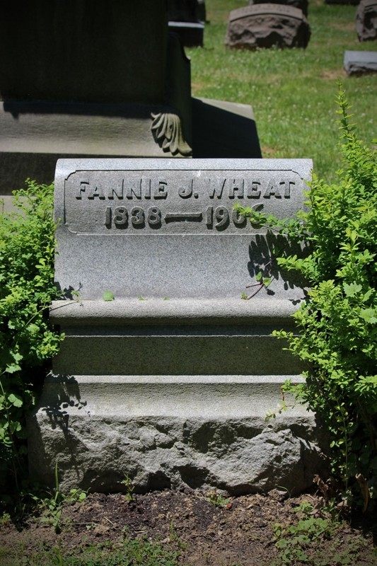 Plant, Cemetery, Font, Headstone