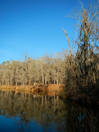 Branch, Natural landscape, Reflection, Twig