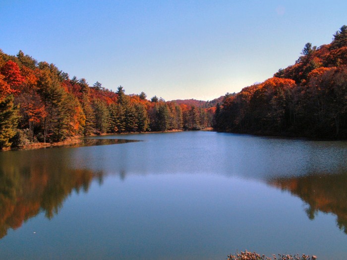 This is a current picture of Watoga State park, its beauty is astonishing but the history behind it is breathtaking. Not many people know that this lake is only here because the thousands of men that worked on it every day; luckily the park provides information on the history that is so visible if you know exactly where to look. On some of the trails there are even small log cabins used as a pit stop for people on their long hike, Honeybee Trail being home to one of those. Luckily you can learn about the history when you are checking in, there is a little museum that has lots of artifacts and pictures of the CCC camp that built the foundation of this beautiful park.