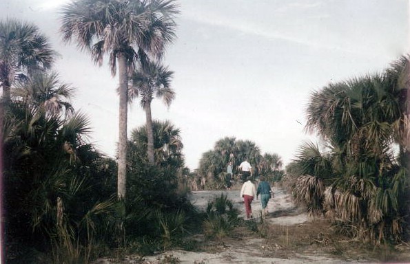 Hikers on Cayo Costa in 1968 (State Archives of Florida/Knetch).