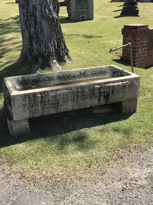 Horse water trough 