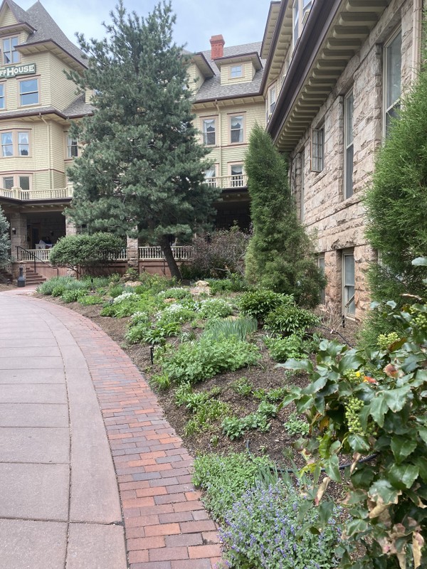 The Cliff House Gardens