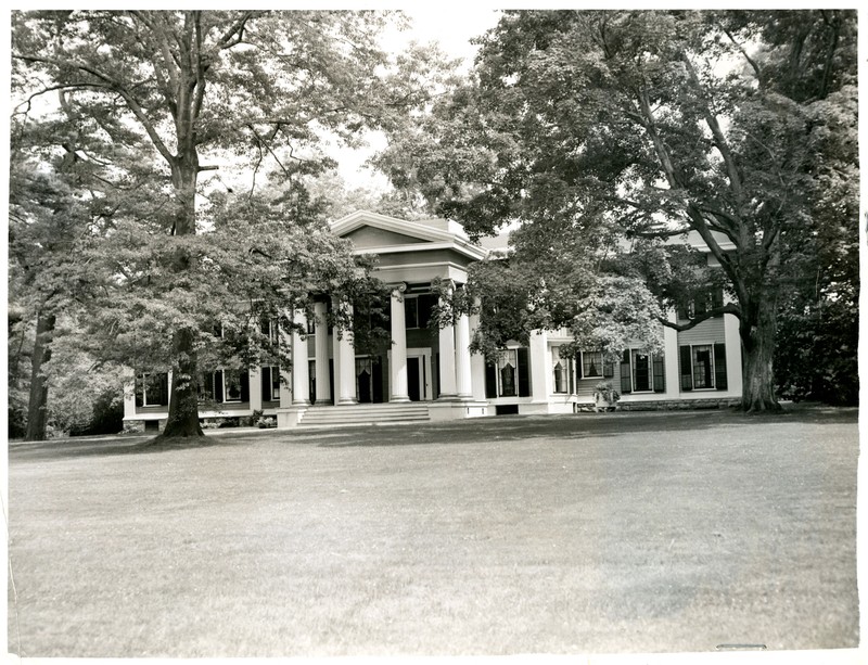 Property, Tree, Black-and-white, Shade