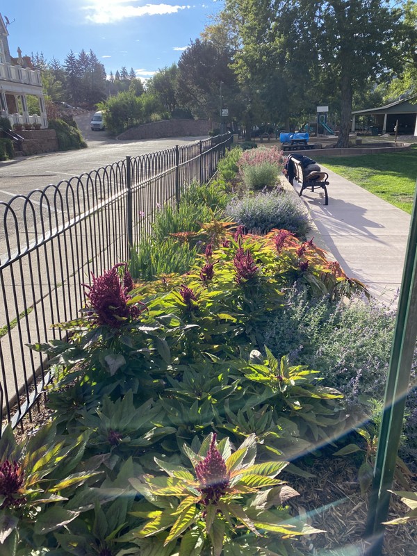 Soda Springs Park gardens