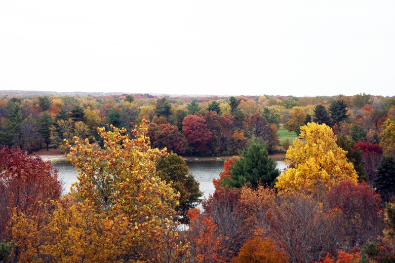 Fall View of Lake of the Woods Forest Preserve from the Top of HI Tower