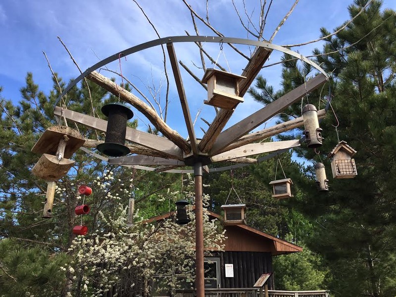 Custom Feeder Hub at Birds' Landing