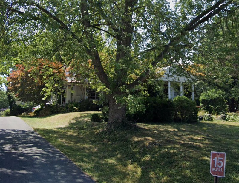 Plant, Tree, Shade, Window