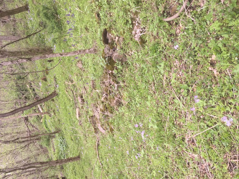 Ruins of stone wall.