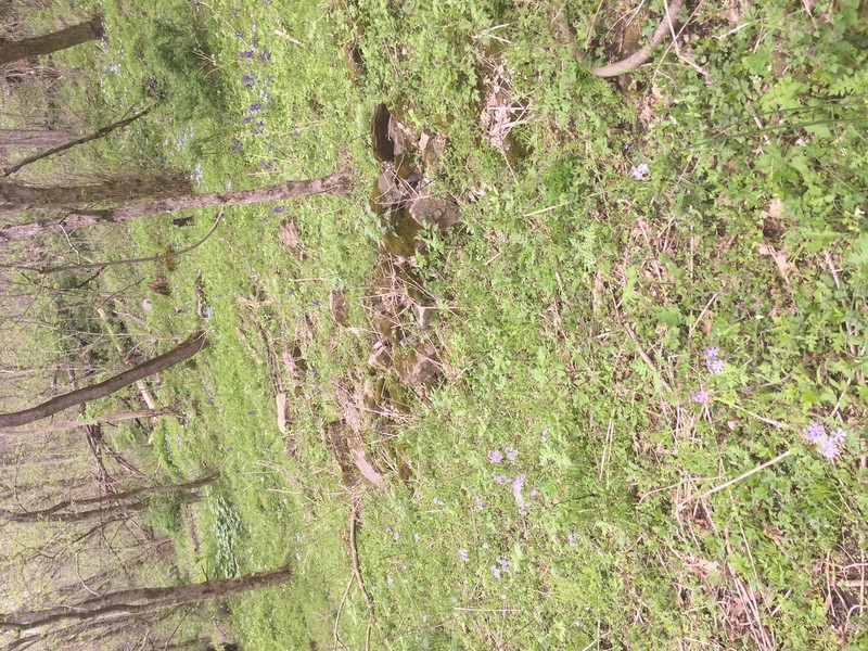 Ruins of stone wall.