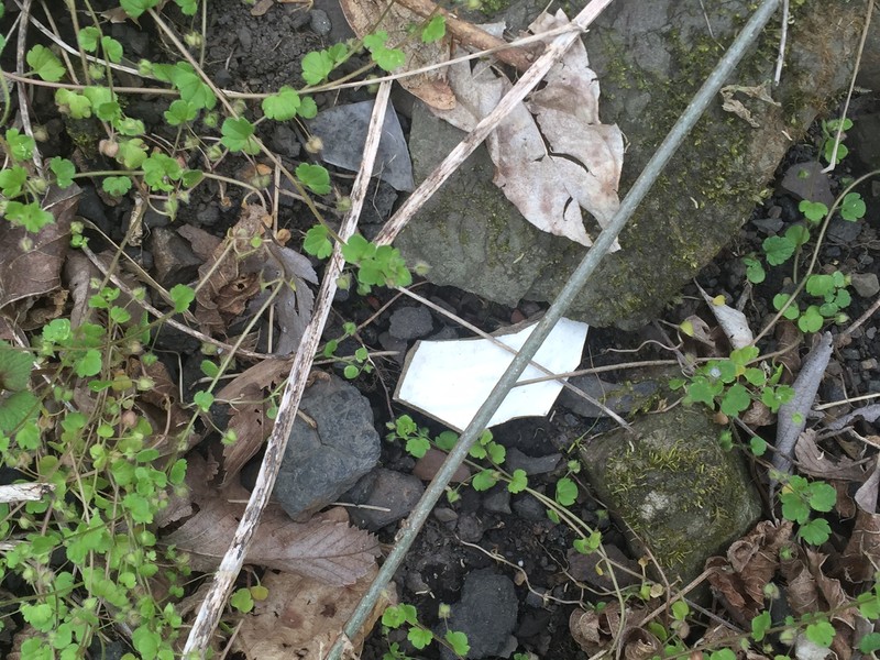 Fragment of pottery among coal, found near ruins of foundation.