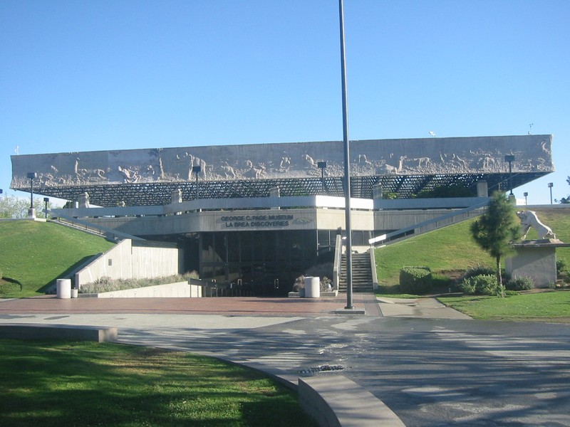 The La Brea Tar Pits Museum preserves a large and growing collection of prehistoric animals and plants dating to tens of thousands of years ago.