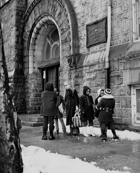 Black, Standing, Snow, Black-and-white