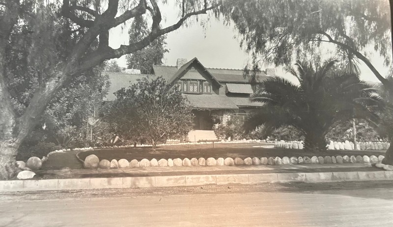 Building, Plant, Tree, Water