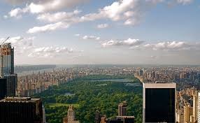 The view of Central Park from the observation deck