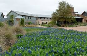 Lady Bird Johnson Wildflower Center 