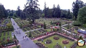 International Rose Test Garden