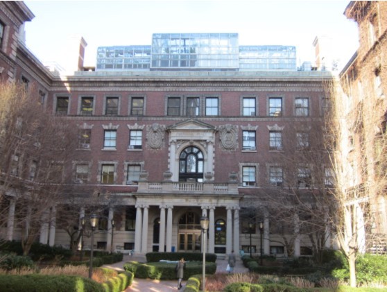 Plant, Building, Window, Property