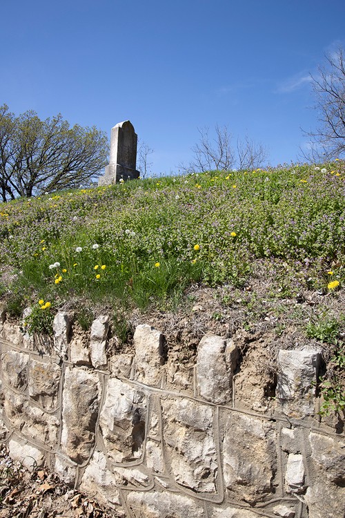 Sky, Flower, Plant, Bedrock