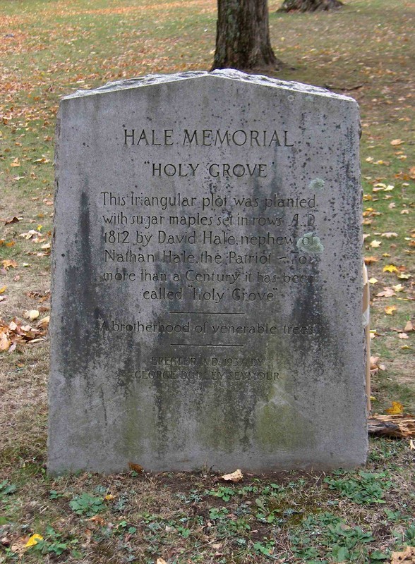 A marker commemorating the "Holy Grove" of sugar maples planted in 1812 by David Hale, nephew to Nathan.