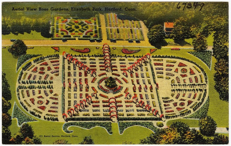 Aerial view of the rose gardens - vintage postcard, circa 1930-1945.