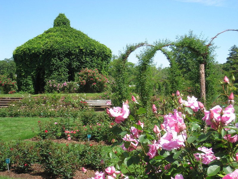 Elizabeth Park and Elizabeth Park Rose Garden - Clio