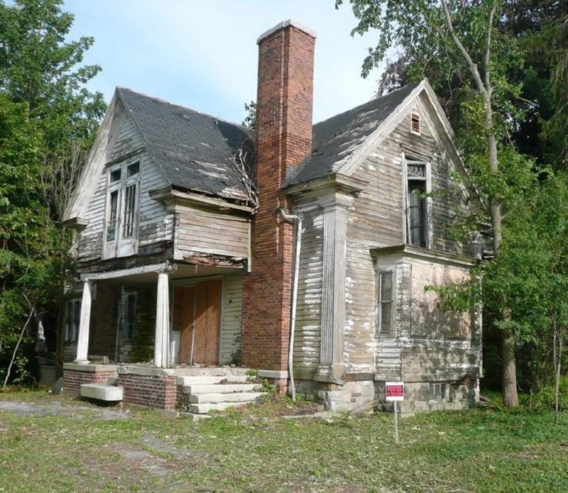 Building, Plant, Window, Property