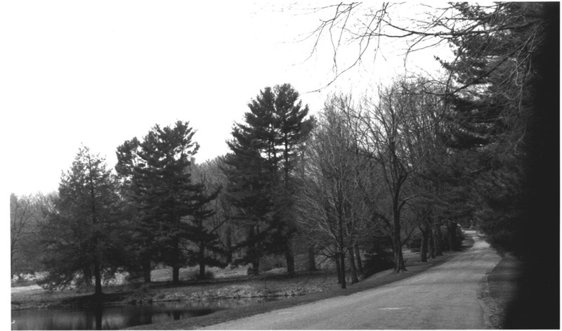 1997 NPS Photo Record of Cedar Hill Cemetary #5