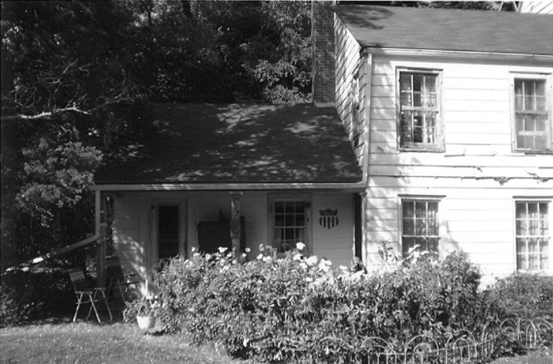 Plant, Building, Window, Property