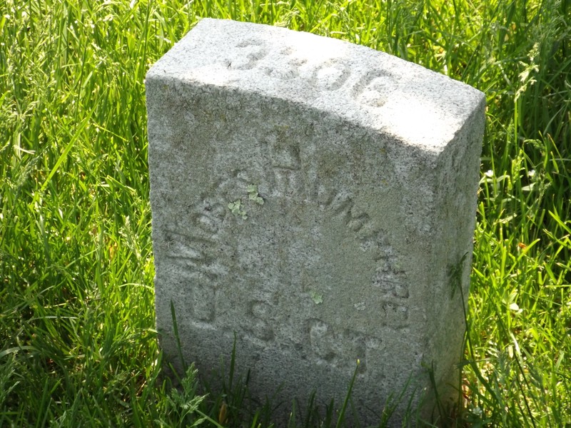 Plant, Cemetery, Grass, Rectangle