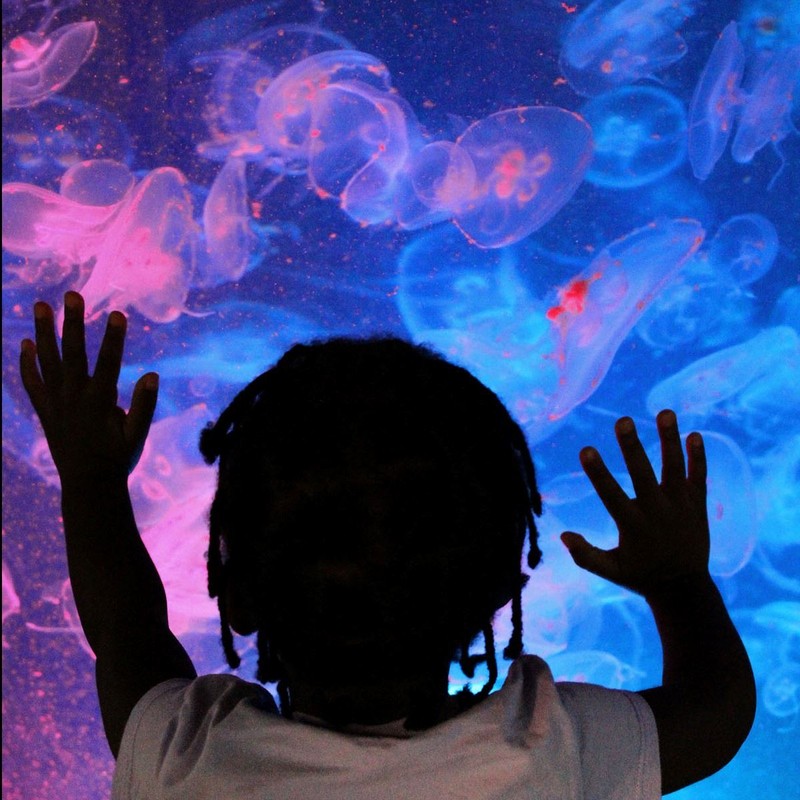 Hand, World, Vertebrate, Blue