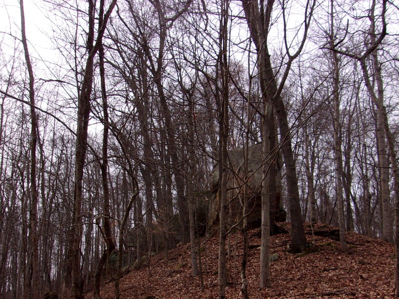Front of the Menges Rocks as viewed from the flat below.