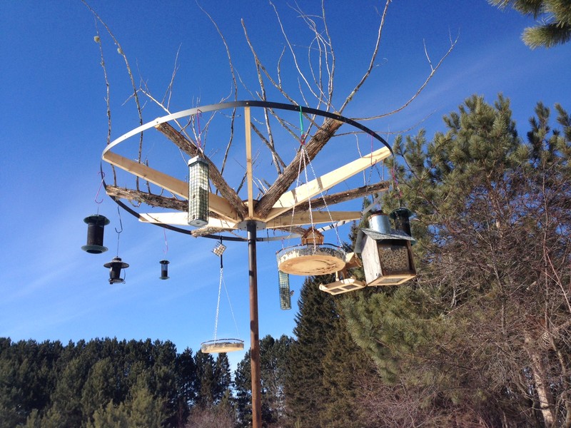 Custom Feeder Hub at Birds' Landing