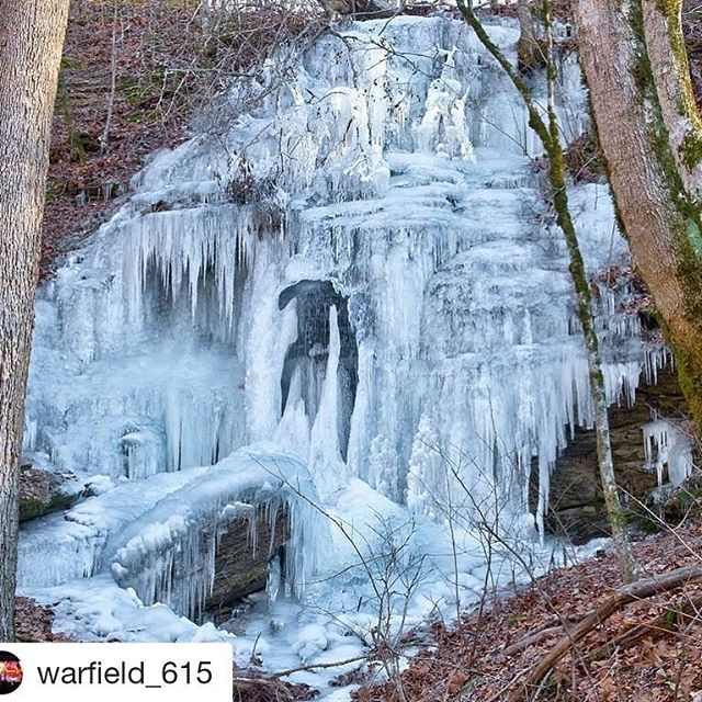 Fall Hollow Waterfall is frozen in ice. Photo courtesy of NatchezTraceTravel.com. 