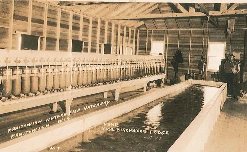 Water, Wood, Swimming pool, Building