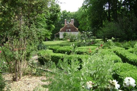 Plant, Building, Tree, Natural landscape