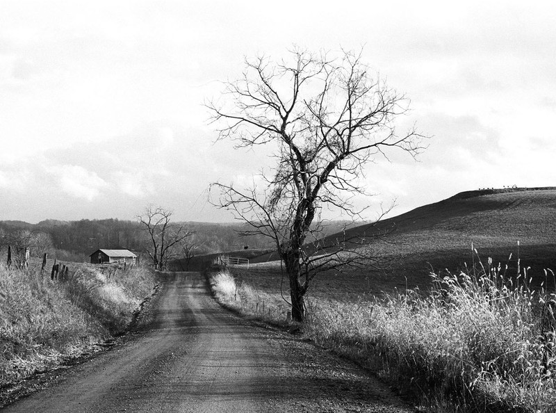 One of Betty Rivard's landscape photographs in the collection of WVU Libraries.