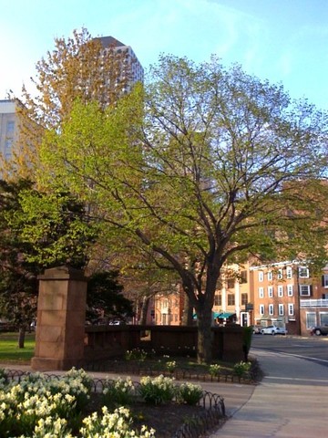 The entrance to Bushnell Park.