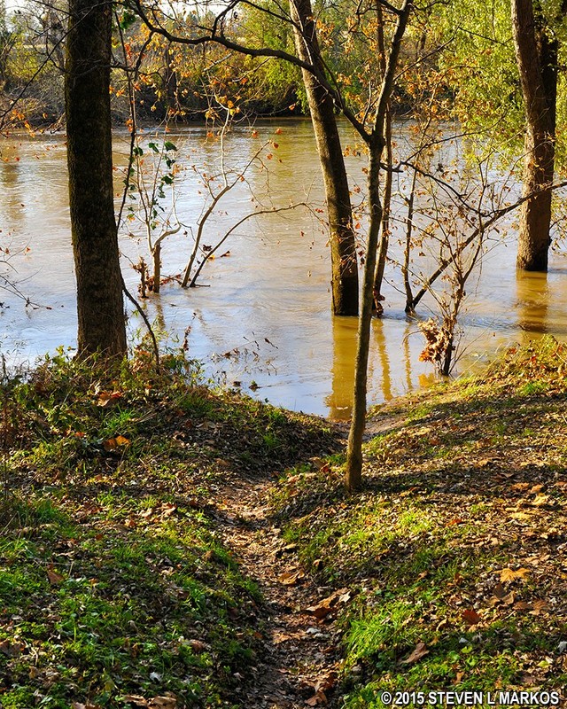 This trail leads to the Duck River's edge. Be careful! You could wind up in the river if you slip on the trail when it is wet. Photo: Steven L. Markos.