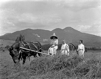 Huntington Pratt Gilbert, "Edith Harwood Raking," July 25, 1913.