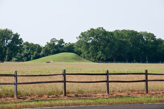 View of the mounds site