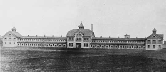 This is the western side of the Piggery, or Calf Barn as it was known after 1917. 