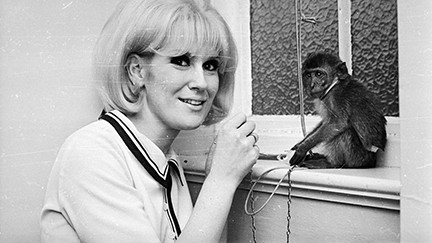 Dusty Springfield. Photo: Stan Meagher/Getty Images 