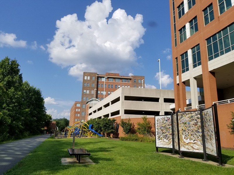 Location of the mosaic along the Caperton Trail.