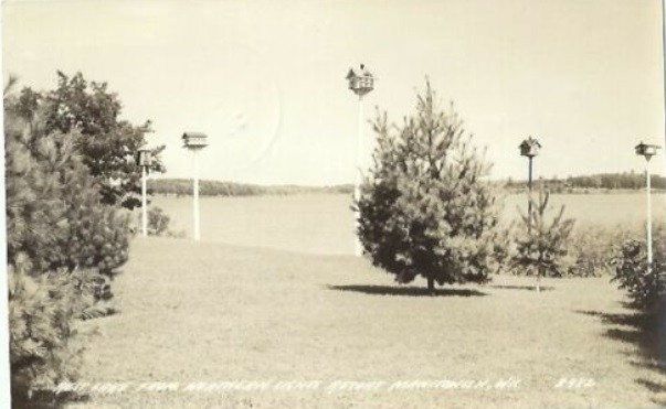 Plant, Sky, Land lot, Natural landscape