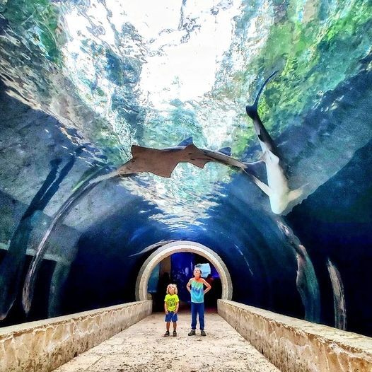 World, Water, Infrastructure, Tunnel