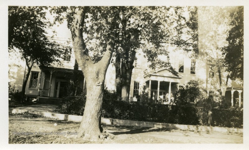 Plant, Building, Tree, House