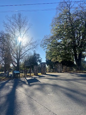 Sky, Daytime, Road surface, Branch