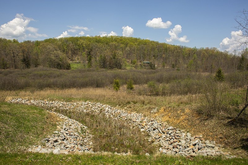 The reservoir that once provided water to Morgantown is now reclaimed as a wetland at the Botanic Garden. Photo by Pamela Curtin. 