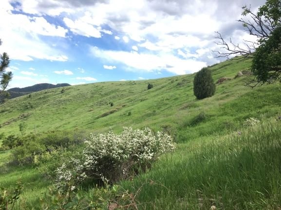 This view of the mountainside at the shrine during the summer.